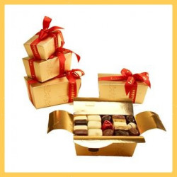 Assortiment de Chocolats Pralinés Leonidas 500 grs