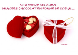 Mini Coeur Velours Rouge Dragées Coeurs