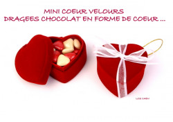 Contenant Dragées Coeur Velours